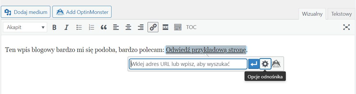 Edytor Wizualny WordPress - dodawanie linku nofollow krok 1